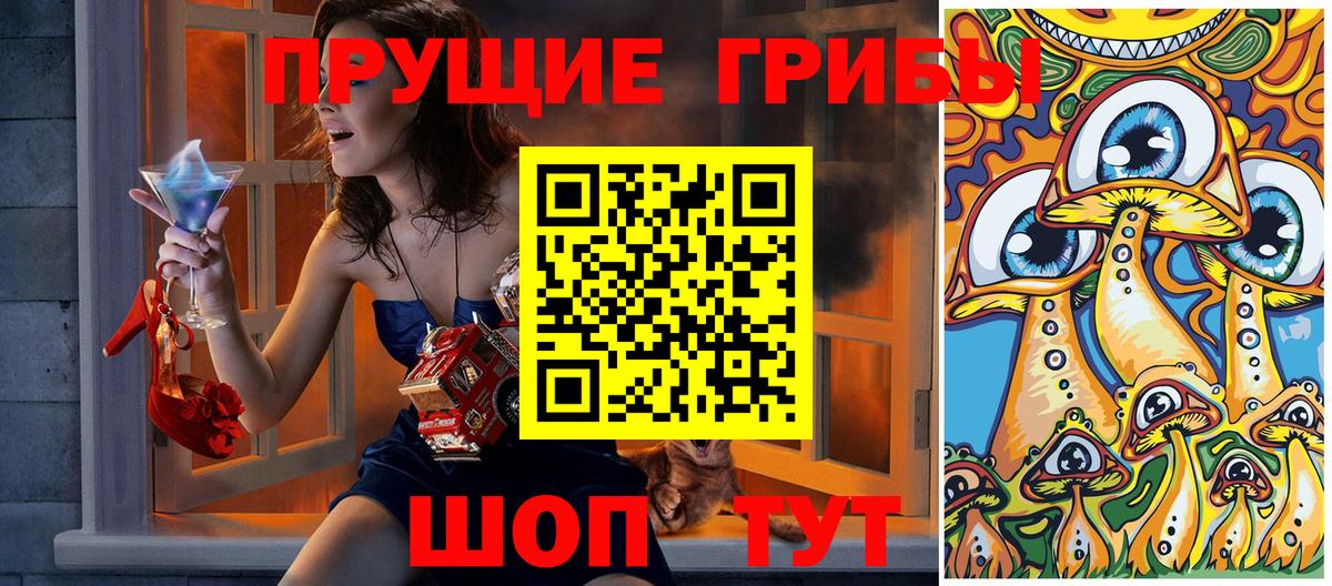 Псилоцибиновые грибы Psilocybine cubensis  Вход с VPN  Фролово 